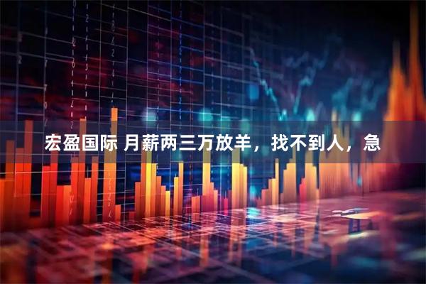 宏盈国际 月薪两三万放羊，找不到人，急