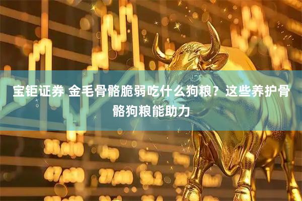 宝钜证券 金毛骨骼脆弱吃什么狗粮?这些养护骨骼狗粮能助力