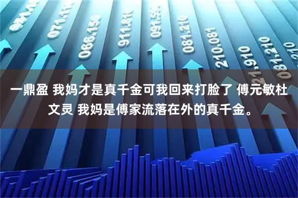 一鼎盈 我妈才是真千金可我回来打脸了 傅元敏杜文灵 我妈是傅家流落在外的真千金。