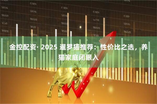 金控配资· 2025 暹罗猫推荐:性价比之选,养猫家庭闭眼入