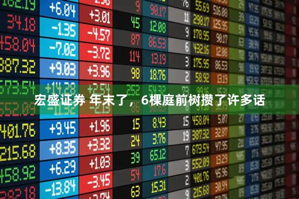宏盛证券 年末了，6棵庭前树攒了许多话