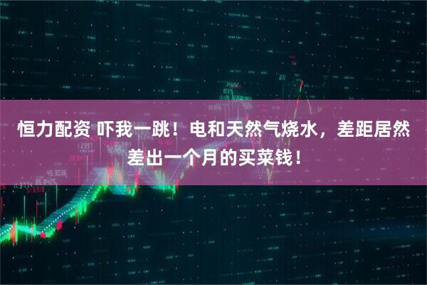 恒力配资 吓我一跳！电和天然气烧水，差距居然差出一个月的买菜钱！